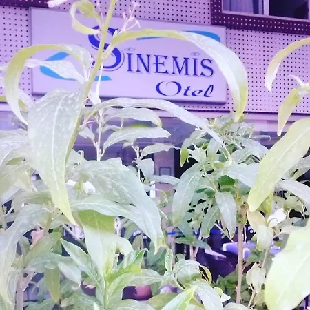 ホテル Sinemis 3*