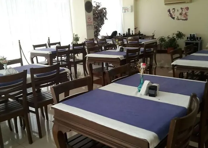 Hotel Sinemis